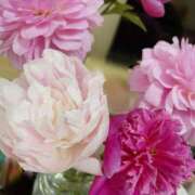 ヒメ日記 2025/05/05 19:14 投稿 今井 まこと 人妻の雫 岡山店