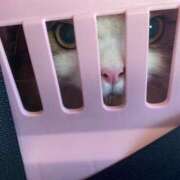 ヒメ日記 2025/05/10 12:24 投稿 今井 まこと 人妻の雫 岡山店