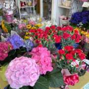 ヒメ日記 2025/05/12 21:14 投稿 今井 まこと 人妻の雫 岡山店