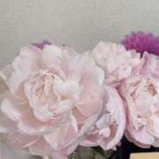 ヒメ日記 2025/05/14 18:34 投稿 今井 まこと 人妻の雫 岡山店