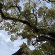 ヒメ日記 2025/05/17 09:24 投稿 今井 まこと 人妻の雫 岡山店