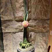 ヒメ日記 2025/07/19 09:24 投稿 今井 まこと 人妻の雫 岡山店