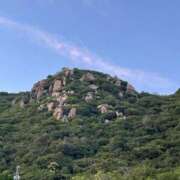 ヒメ日記 2025/07/26 12:07 投稿 今井 まこと 人妻の雫 岡山店