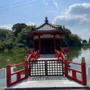 ヒメ日記 2025/08/03 18:44 投稿 今井 まこと 人妻の雫 岡山店