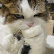 ヒメ日記 2025/11/15 09:44 投稿 今井 まこと 人妻の雫 岡山店