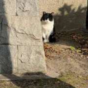 今井 まこと おはようございます☀️ 人妻の雫 岡山店