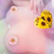 ヒメ日記 2024/12/10 23:45 投稿 向日葵いずみ コウテイ