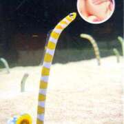 ヒメ日記 2025/05/06 15:05 投稿 向日葵いずみ コウテイ