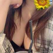 ヒメ日記 2025/06/14 20:15 投稿 向日葵いずみ コウテイ