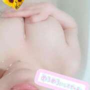 ヒメ日記 2025/07/01 10:15 投稿 向日葵いずみ コウテイ