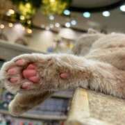 ヒメ日記 2025/07/01 15:25 投稿 向日葵いずみ コウテイ