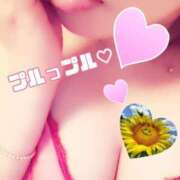 ヒメ日記 2025/08/03 12:55 投稿 向日葵いずみ コウテイ