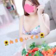 ヒメ日記 2025/11/14 11:05 投稿 向日葵いずみ コウテイ