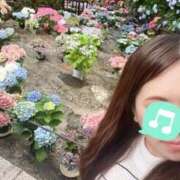 向日葵いずみ たくさん♡ コウテイ
