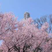 ヒメ日記 2025/04/09 10:52 投稿 あまね 宮城♂風俗の神様 仙台店