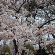 ヒメ日記 2025/05/02 16:26 投稿 あまね 宮城♂風俗の神様 仙台店