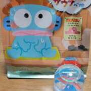 ヒメ日記 2025/04/12 10:28 投稿 まき 宮城♂風俗の神様 仙台店