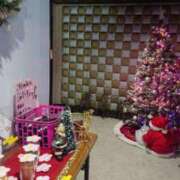 ヒメ日記 2024/12/18 14:47 投稿 いろ セレブクエスト-koshigaya-