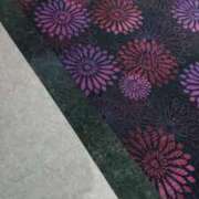 ヒメ日記 2025/01/13 11:57 投稿 いろ セレブクエスト-koshigaya-