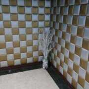 ヒメ日記 2025/02/15 15:17 投稿 いろ セレブクエスト-koshigaya-