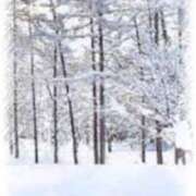 ヒメ日記 2025/03/08 23:27 投稿 いろ セレブクエスト-koshigaya-