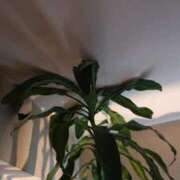 ヒメ日記 2025/03/16 14:37 投稿 いろ セレブクエスト-koshigaya-