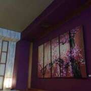 ヒメ日記 2025/04/02 17:15 投稿 いろ セレブクエスト-koshigaya-