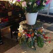 ヒメ日記 2025/06/12 14:59 投稿 いろ セレブクエスト-koshigaya-