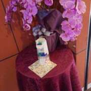 ヒメ日記 2025/06/13 14:16 投稿 いろ セレブクエスト-koshigaya-