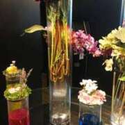 ヒメ日記 2025/07/03 14:55 投稿 いろ セレブクエスト-koshigaya-