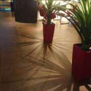 ヒメ日記 2025/07/26 14:36 投稿 いろ セレブクエスト-koshigaya-