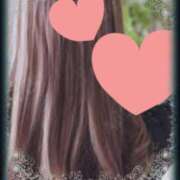 ヒメ日記 2025/08/07 14:10 投稿 いろ セレブクエスト-koshigaya-