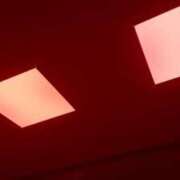 ヒメ日記 2025/08/29 16:49 投稿 いろ セレブクエスト-koshigaya-