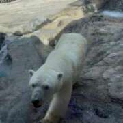 ヒメ日記 2025/09/15 09:36 投稿 鳳条まり お姉さんCLUB