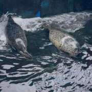ヒメ日記 2025/09/15 21:21 投稿 鳳条まり お姉さんCLUB