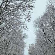 ヒメ日記 2025/11/08 16:48 投稿 鳳条まり お姉さんCLUB