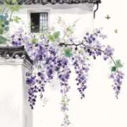 ヒメ日記 2025/07/24 22:12 投稿 みさき 人妻の雫　福山店