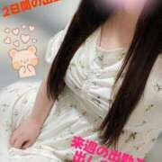 ヒメ日記 2025/07/28 22:11 投稿 みこ 山梨甲府甲斐ちゃんこ