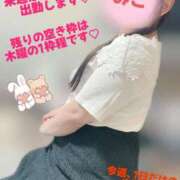 ヒメ日記 2025/09/21 21:28 投稿 みこ 山梨甲府甲斐ちゃんこ