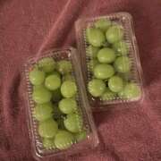 ヒメ日記 2025/10/20 22:51 投稿 ひな ゴールドクイーン