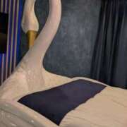 せいら 受付終了しましたm(_ _)m モアグループ小山人妻花壇