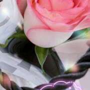 ヒメ日記 2026/02/03 08:00 投稿 せいら モアグループ小山人妻花壇