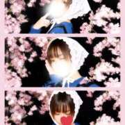 ヒメ日記 2026/04/05 00:28 投稿 せいら モアグループ小山人妻花壇