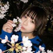 ヒメ日記 2026/04/05 13:20 投稿 せいら モアグループ小山人妻花壇