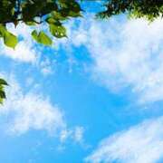 ヒメ日記 2025/10/19 12:03 投稿 入江りほ おいしい人妻熟女