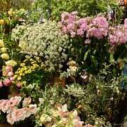 ヒメ日記 2026/01/08 09:38 投稿 辻きょうこ おいしい人妻熟女