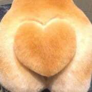 ヒメ日記 2025/05/18 08:22 投稿 滝川れい おいしい人妻熟女