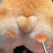 ヒメ日記 2025/05/31 10:26 投稿 滝川れい おいしい人妻熟女