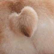 ヒメ日記 2025/08/02 09:24 投稿 滝川れい おいしい人妻熟女