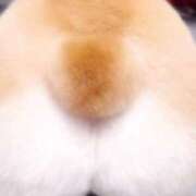 ヒメ日記 2025/09/13 09:28 投稿 滝川れい おいしい人妻熟女